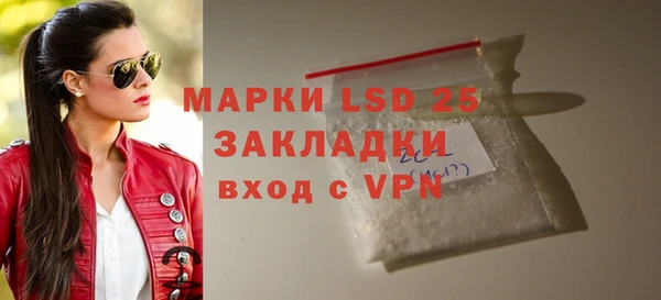 хмурый Алзамай