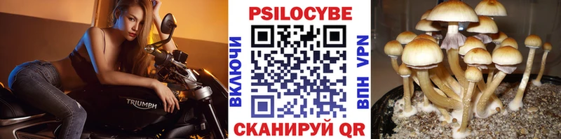 Купить где Волчанск Галлюциногенные грибы мухоморы