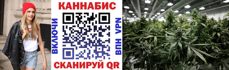 Марихуана план  Купить  Волчанск 